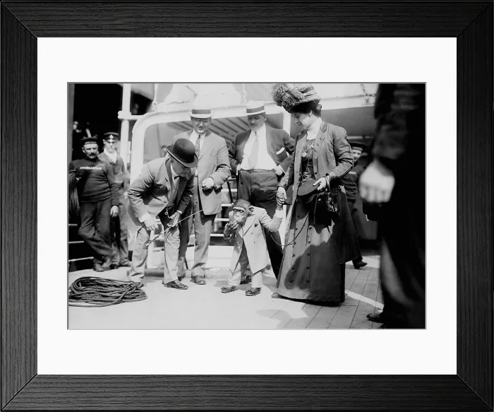 Framed Print : Consul Peter - a monkey who is smoking on a boat. 1909 Framed Print : Consul Peter - a monkey who is smoking on a boat. 1909