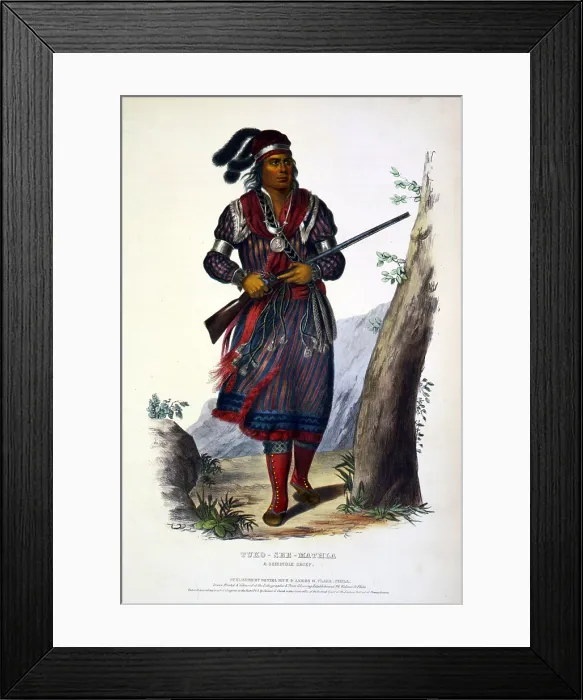 Framed Print : Tuko-See-Mathla, Seminole Chief of Florida. lithograph by George Catlin ca. 1840s Framed Print : Tuko-See-Mathla, Seminole Chief of Florida. lithograph by George Catlin ca. 1840s