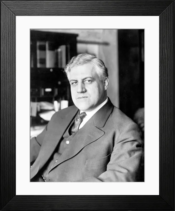 Framed Print : Alexander Palmer (1872-1936) was the Attorney General of the United States from 1919 to 1921. He directed the Palmer Raids. photo c. 1913 Framed Print : Alexander Palmer (1872-1936) was the Attorney General of the United States from 1919 to 1921. He directed the Palmer Raids. photo c. 1913