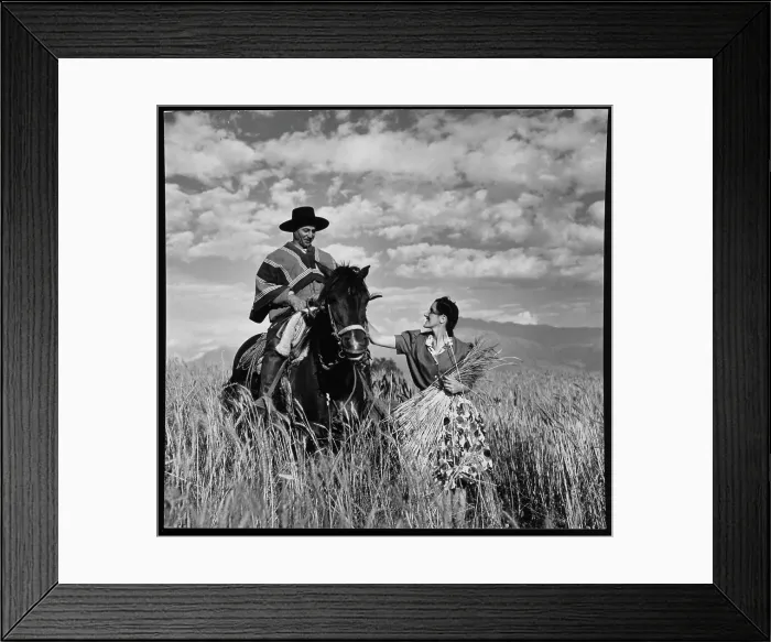 Framed Print : Senora Maria Vial de Prieto petting gaucho's horse Prique in a wheat field in Chile, photograph by Toni Frissell, circa 1940 Framed Print : Senora Maria Vial de Prieto petting gaucho's horse Prique in a wheat field in Chile, photograph by Toni Frissell, circa 1940