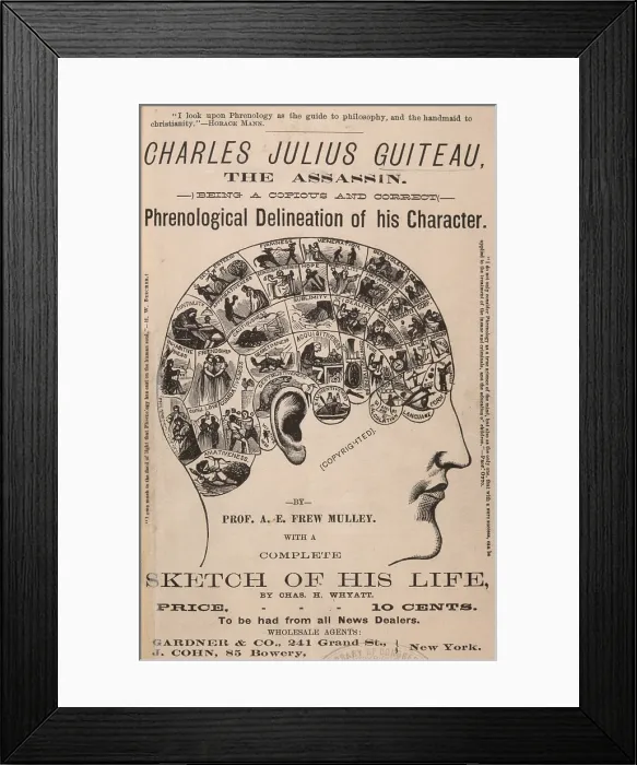 Framed Print : Phrenological chart of the brain of Charles J. Guiteau, assassin of President James Garfield, circa 1880s