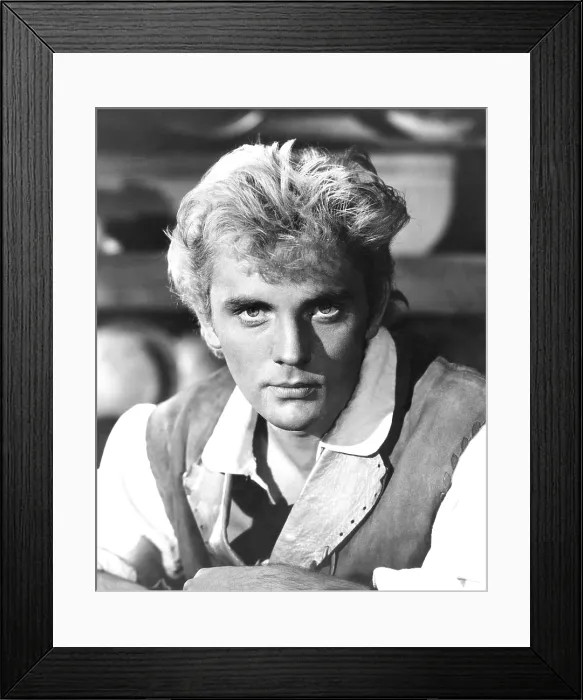 Framed Print : BILLY BUDD, Terence Stamp, 1962