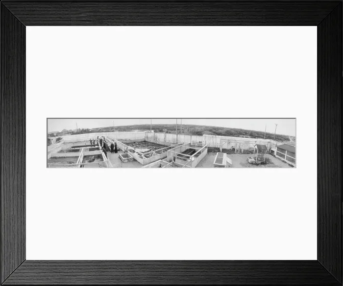 Framed Print : Alligator Farm, South Beach, Florida, 1910