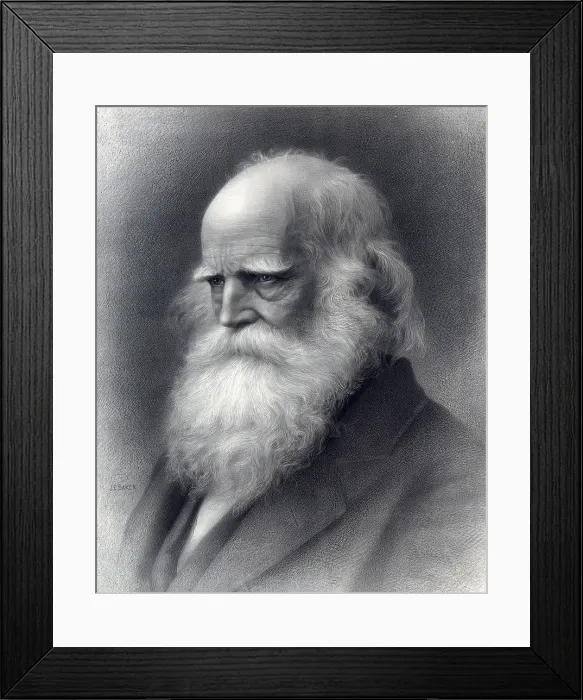 Framed Print : William Cullen Bryant (1794-1878) was an influential editor of the New York Evening Post for 50 years, and promoted human social equality, including abolition