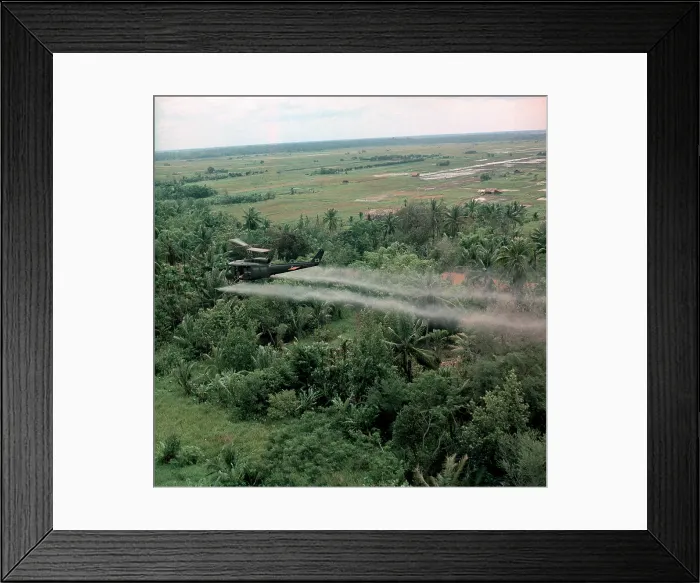 Framed Print : Vietnam War, Defoliation Mission, a UH-1D helicopter from the 336th Aviation Company sprays a agent orange on a dense jungle area in the Mekong delta, circa late 1960s