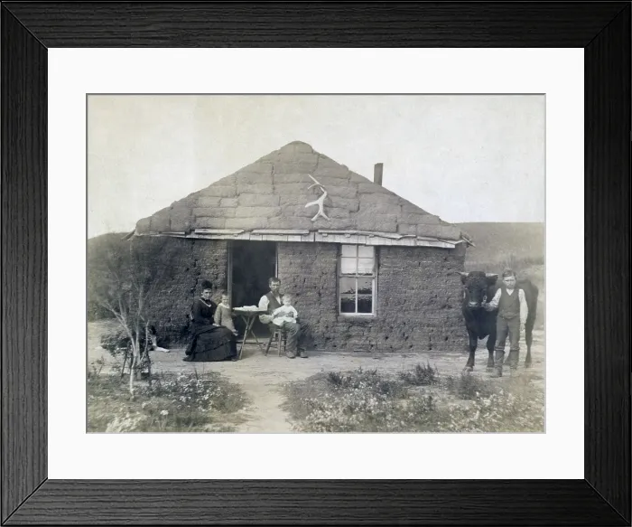 Framed Print : Rural life in Nebraska. The Laulerman family in front of their sod house, with boy holding bull on the right. 1886