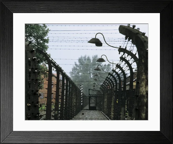 Framed Print : POLAND. LESSER POLAND. Oswiecim. Auschwitz-Birkenau Memorial and Museum. Concentration camp. Double wall (4 m.). AISA / Everett Collection**US SALES ONLY** Framed Print : POLAND. LESSER POLAND. Oswiecim. Auschwitz-Birkenau Memorial and Museum. Concentration camp. Double wall (4 m.). AISA / Everett Collection**US SALES ONLY**