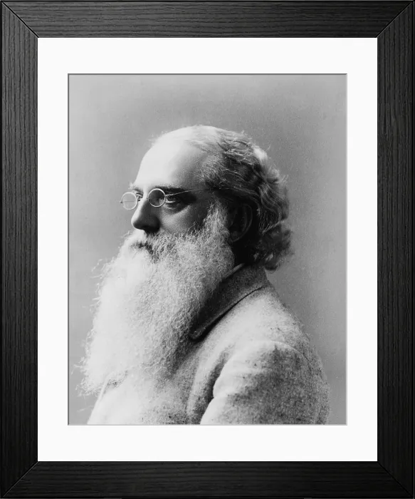 Framed Print : Henry Steel Olcott (1832-1907), American philosopher, and who, with Helena Blavatsky and William Judge, founded the Theosophical Society in 1875 Framed Print : Henry Steel Olcott (1832-1907), American philosopher, and who, with Helena Blavatsky and William Judge, founded the Theosophical Society in 1875