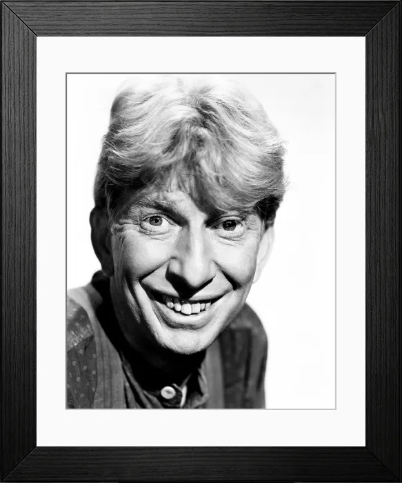 Framed Print : THE BEAUTIFUL BLONDE FROM BASHFUL BEND, Sterling Holloway, 1949, TM and copyright 20th Century Fox Film Corp. All rights reserved / courtesy Everett Collection