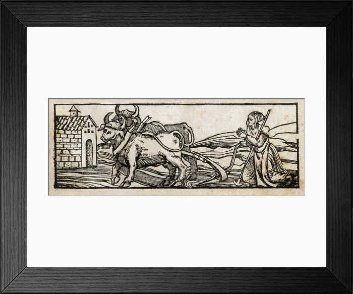 Framed Print : Cover of 'Libro de Agricultura' (Book of Agriculture), written in 1513. Edition printed in Valladolid in 1563. Representation a a farmer ploughing. Engraving. SPAIN