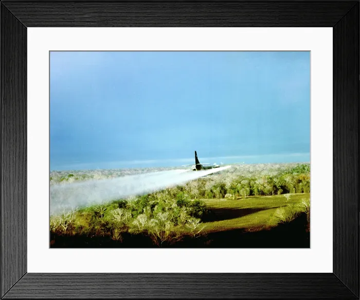 Framed Print : Vietnam War, Pink Rose, during the Pink Rose test program target areas near Tay Ninh and An Loc, Vietnam were sprayed with agent orange twice and with a drying agent once Framed Print : Vietnam War, Pink Rose, during the Pink Rose test program target areas near Tay Ninh and An Loc, Vietnam were sprayed with agent orange twice and with a drying agent once