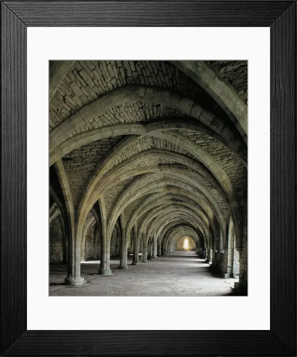 Framed Print : Abbey of Fountains. UNITED KINGDOM. ENGLAND. Abbey of Fountains. Cloister vaults. Cistercian art. Architecture. AISA / Everett Collection**US SALES ONLY**