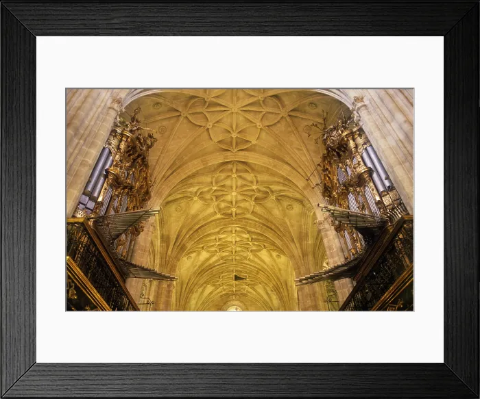 Framed Print : SPAIN. Almeria. Cathedral. Vault of the main nave. Renaissance art. Architecture. - Lucas Vallecillos / Iberfoto / Everett Collection (223960)**US SALES ONLY** Framed Print : SPAIN. Almeria. Cathedral. Vault of the main nave. Renaissance art. Architecture. - Lucas Vallecillos / Iberfoto / Everett Collection (223960)**US SALES ONLY**