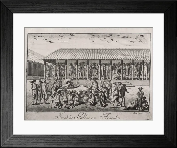 Framed Print : America. Expedition of Malaspina (1789-1794). Viceroyalty of Mexico. Cock fightings in Acapulco. Drawing by TomAs de Suria. Drawing. SPAIN. Madrid. America's Museum. - J