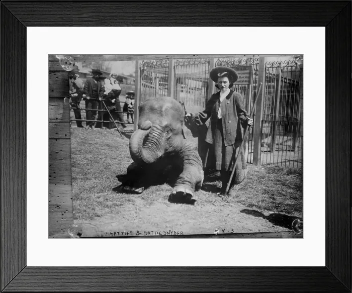 Framed Print : Hattie Snyder, elephant trainer, and Hattie the elephant, circa early 1900s