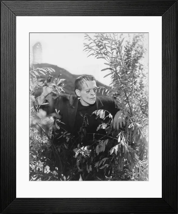 Framed Print : FRANKENSTEIN, Boris Karloff, 1931