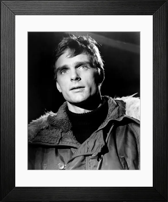 Framed Print : THE FOX, (aka D.H LAWRENCE'S THE FOX), Keir Dullea, 1968 Framed Print : THE FOX, (aka D.H LAWRENCE'S THE FOX), Keir Dullea, 1968