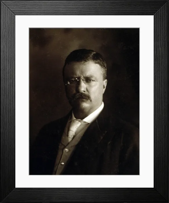 Framed Print : President Theodore Roosevelt, shortly after his rise to the presidency in a 1902