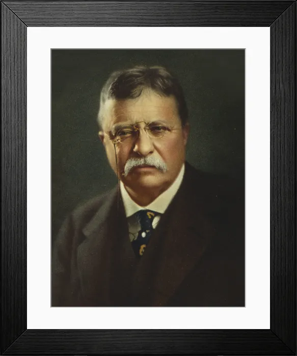 Framed Print : Commemorative portrait of President Theodore Roosevelt, published after his death in 1919