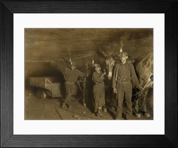 Framed Print : Drivers and Mules with young laborers in a West Virginia coal mine. October 1908 photo by Lewis Hine
