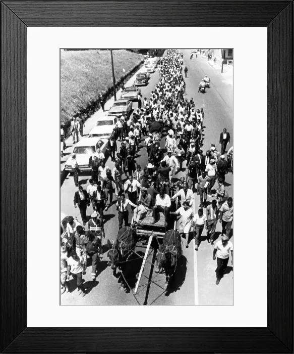 Framed Print : A mule-drawn farm wagon leads a poor people's march in Memphis, Tennessee, May 1968. Courtesy: CSU Archives / Everett Collection