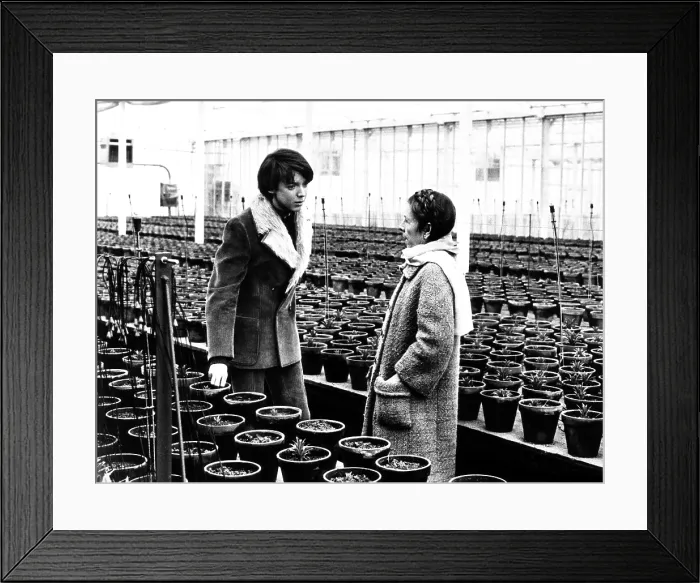 Framed Print : HAROLD AND MAUDE, from left, Bud Cort, Ruth Gordon, 1971 Framed Print : HAROLD AND MAUDE, from left, Bud Cort, Ruth Gordon, 1971