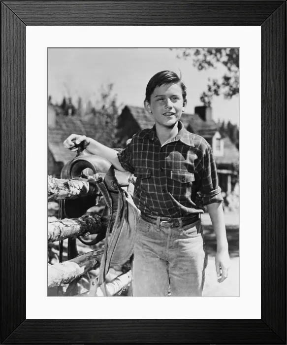 Framed Print : MY FRIEND FLICKA, Roddy McDowall, 1943, TM & Copyright 20th Century Fox Film Corp. / courtesy Everett Collection