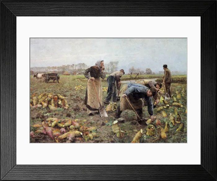 Framed Print : CLAUS, Emile (1849-1924). The Beet Harvest. 1890. Impressionism. Oil on canvas. BELGIUM. Deinze. Museum of Deinze and the Leie region