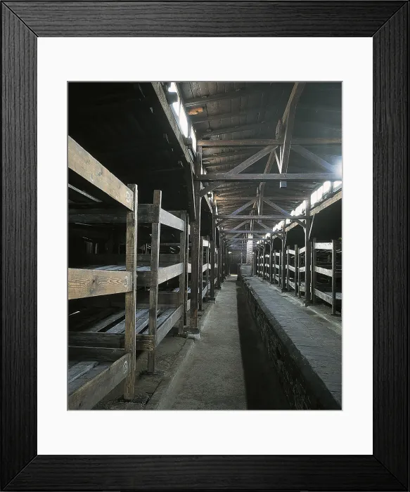 Framed Print : POLAND. Oswiecim. Auschwitz-Birkenau Memorial and Museum. Concentration camp of Auschwitz. Interior of a barrack. AISA / Everett Collection (33657)**US SALES ONLY**