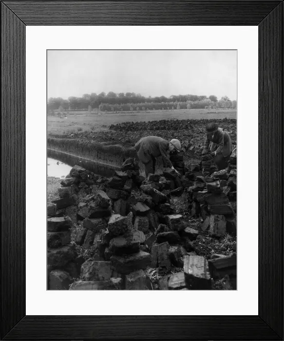 Framed Print : Man and woman digging for peat which, when dried, is a fuel source for heating and cooking. Ireland, between 1880 and 1930 Framed Print : Man and woman digging for peat which, when dried, is a fuel source for heating and cooking. Ireland, between 1880 and 1930