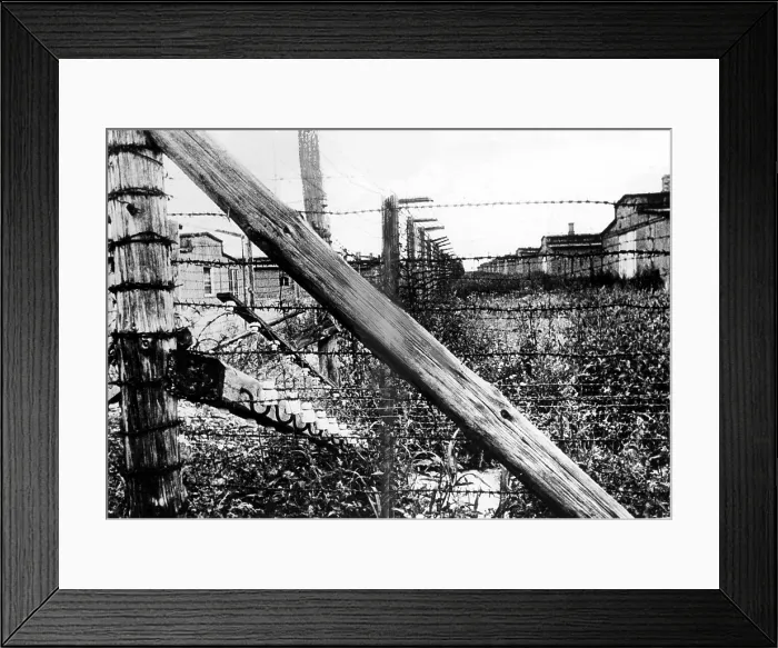 Framed Print : Lublin Concentration Camp in Poland. 9 / 13 / 44.. Courtesy: CSU Archives / Everett Collection Framed Print : Lublin Concentration Camp in Poland. 9 / 13 / 44.. Courtesy: CSU Archives / Everett Collection