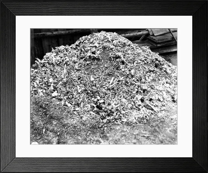 Framed Print : WEIMAR, GERMANY--This heap of ashes and bones represents a single day's killing at the German Concentration Camp at Weimar. 4 / 25 / 45