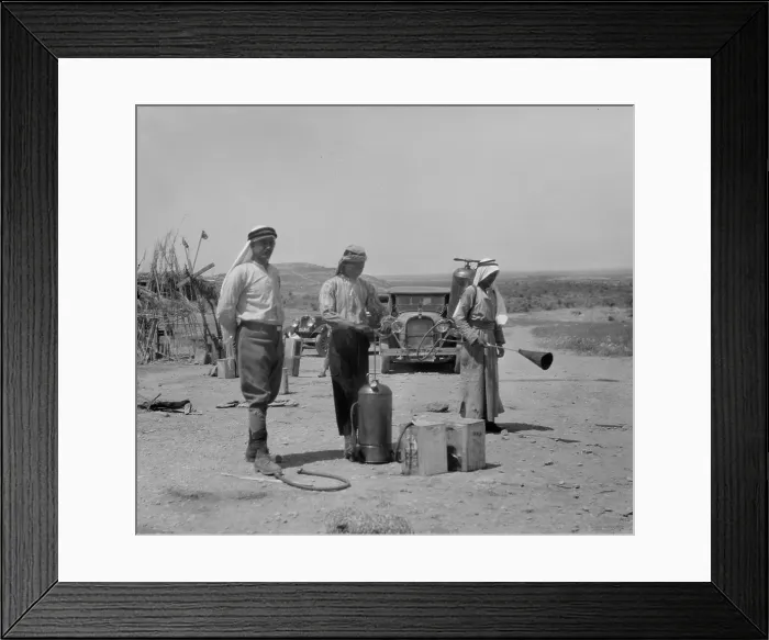 Framed Print : Killing locusts, in the mideast, photograph, 1925-1946