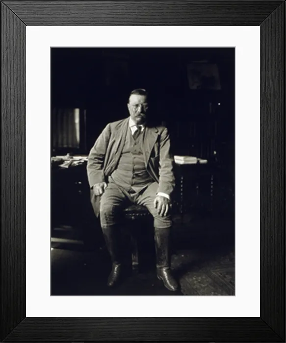 Framed Print : Theodore Roosevelt in his library at Oyster Bay N.Y in 1912, the year he would challenge his successor, William Taft, for the Republican presidential nomination