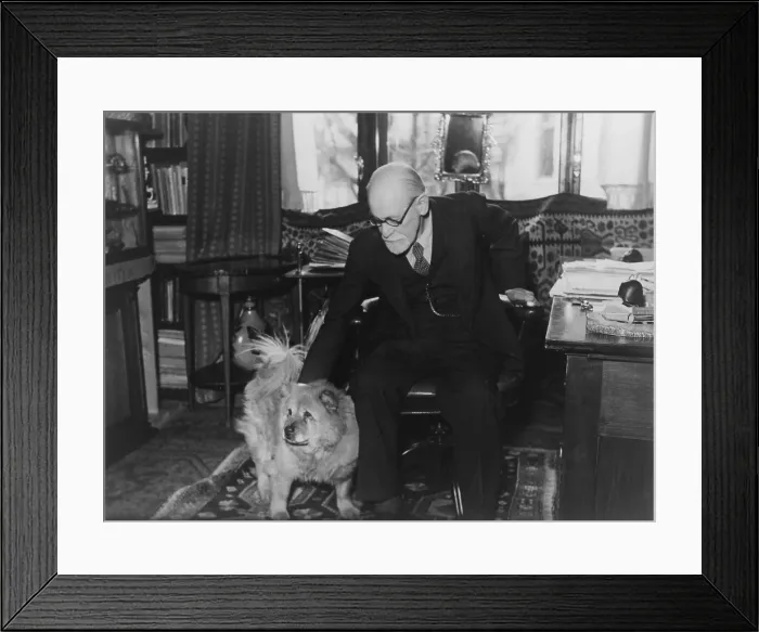 Framed Print : Sigmund Freud (1856-1939), seated in his study with his dog in 1937 photography by Princess Marie Bonaparte who founded the French Institute of Psychoanalysis in 1926