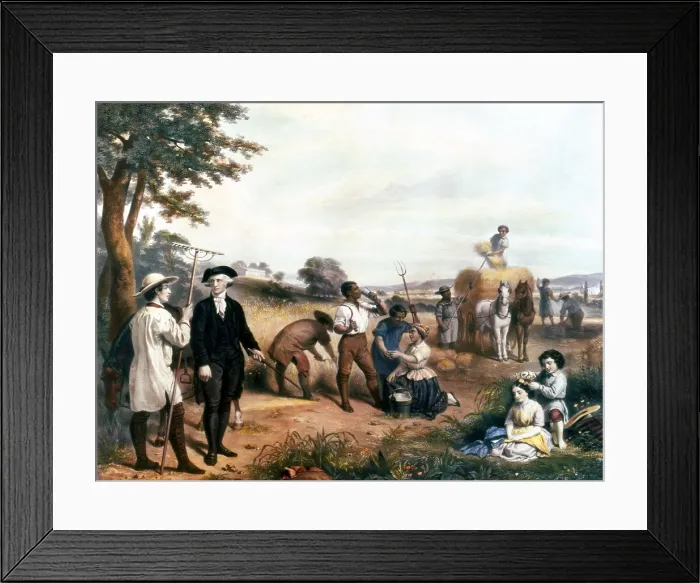 Framed Print : George Washington as a farmer, standing among enslaved African-American field workers harvesting grain, with Mt. Vernon in background Framed Print : George Washington as a farmer, standing among enslaved African-American field workers harvesting grain, with Mt. Vernon in background