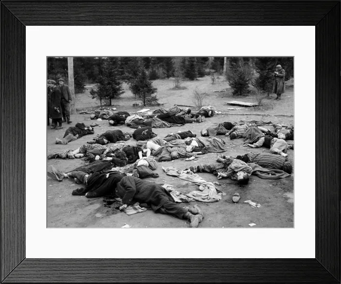 Framed Print : Prisoners who were too sick to flee with the Nazis when the Allies arrived at the concentration camp in Gotha, Germany were executed, 1945