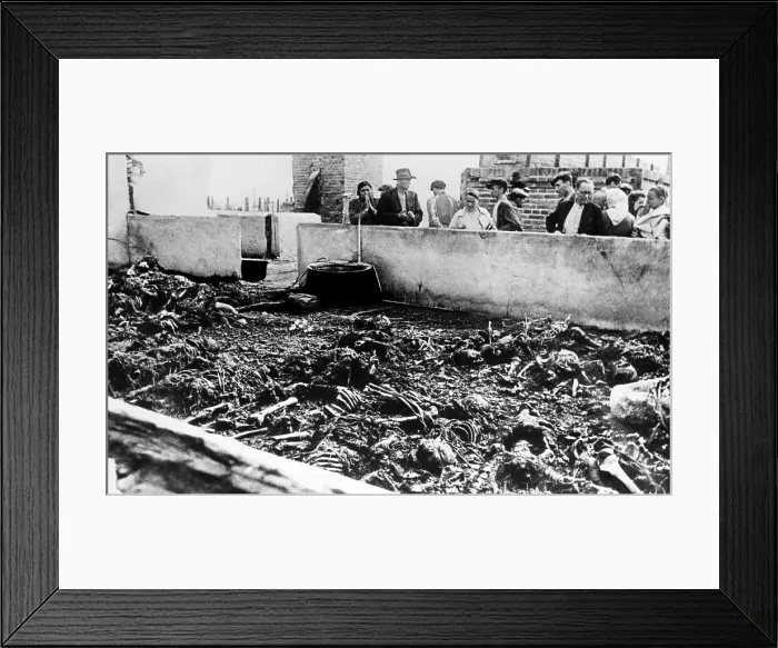 Framed Print : The exhumed bodies of prisoners at the concentraton camp in Lublin, Poland. Nazis intended to get rid of the evidence of the slaughter, 1944