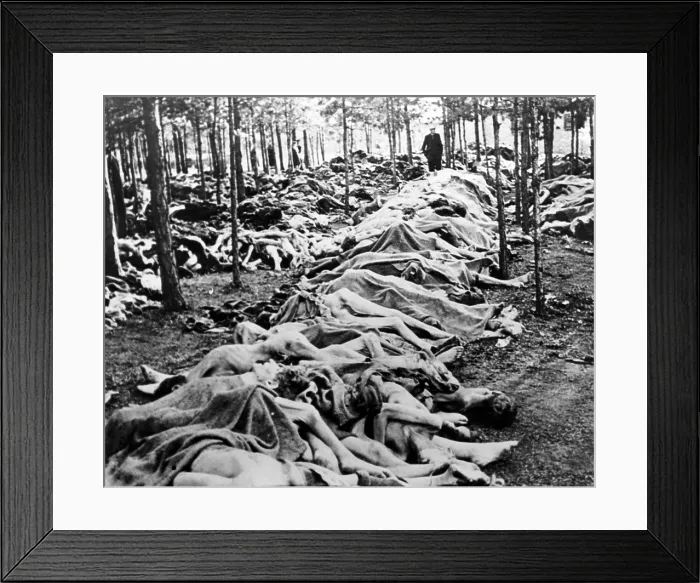 Framed Print : Dead prisoners piled outside Belsen concentration camp, 1945. Courtesy: CSU Archives / Everett Collection Framed Print : Dead prisoners piled outside Belsen concentration camp, 1945. Courtesy: CSU Archives / Everett Collection