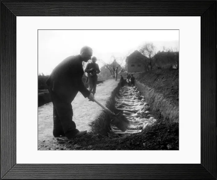 Framed Print : A German civilian helps bury some of the 2, 500 dead prisoners found at the Nordhausen concentration camp, 1945. Courtesy: CSU Archives / Everett Collection Framed Print : A German civilian helps bury some of the 2, 500 dead prisoners found at the Nordhausen concentration camp, 1945. Courtesy: CSU Archives / Everett Collection