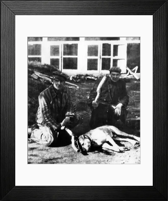 Framed Print : Former prisoners at Dachau concentration camp kneel by the dog they killed with clubs. Prisoners lived in fear of being fed to dogs, 1945 Framed Print : Former prisoners at Dachau concentration camp kneel by the dog they killed with clubs. Prisoners lived in fear of being fed to dogs, 1945