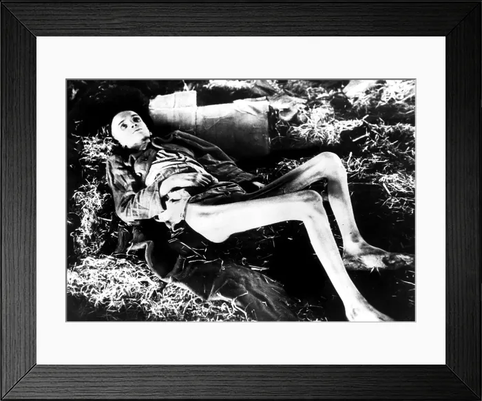 Framed Print : A victim of a German concentration camp, circa 1945. Courtesy: CSU Archives / Everett Collection Framed Print : A victim of a German concentration camp, circa 1945. Courtesy: CSU Archives / Everett Collection