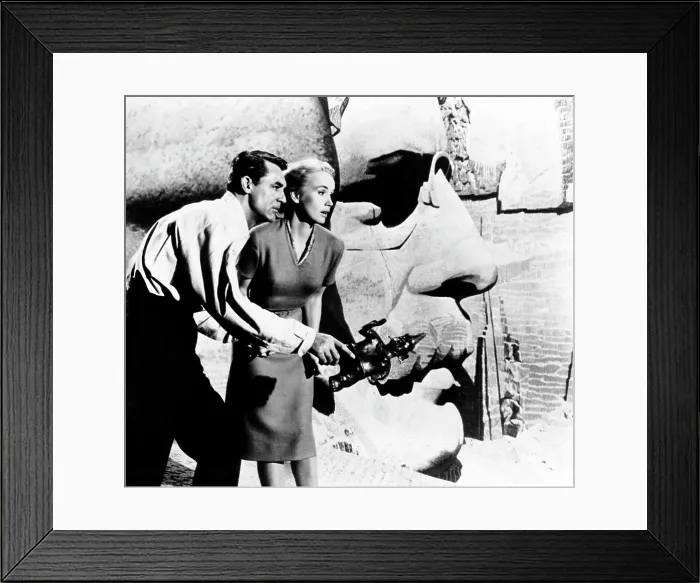 Framed Print : NORTH BY NORTHWEST, Cary Grant, Eva Marie Saint, 1959