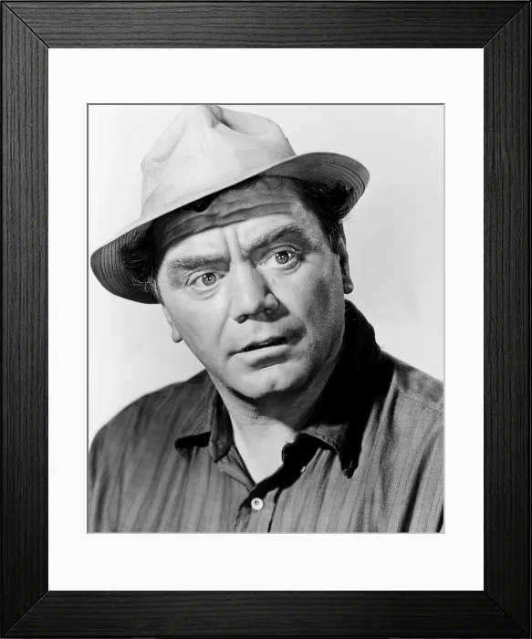 Framed Print : THE FLIGHT OF THE PHOENIX, Ernest Borgnine, 1965, TM & Copyright 20th Century Fox Film Corp. / courtesy Everett Collection