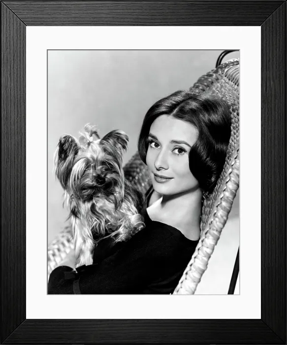 Framed Print : Audrey Hepburn in a publicity still taken around time of THE NUN'S STORY, 1959