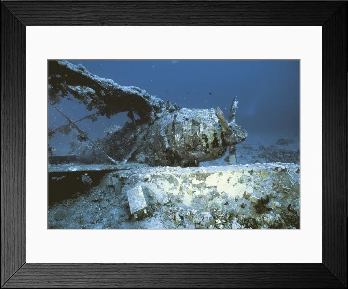 Framed Print : PAPUA NEW GUINEA. Rabaul. Japanese reconnaissance aircraft Mitsubishi F-1 shotted down in RabaulPapua New Guineaduring the Second World War. E