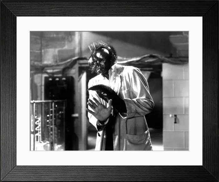 Framed Print : THE FLY, David Hedison, 1958. TM and Copyright (c) 20th Century Fox Film Corp. All rights reserved. Courtesy: Everett Collection