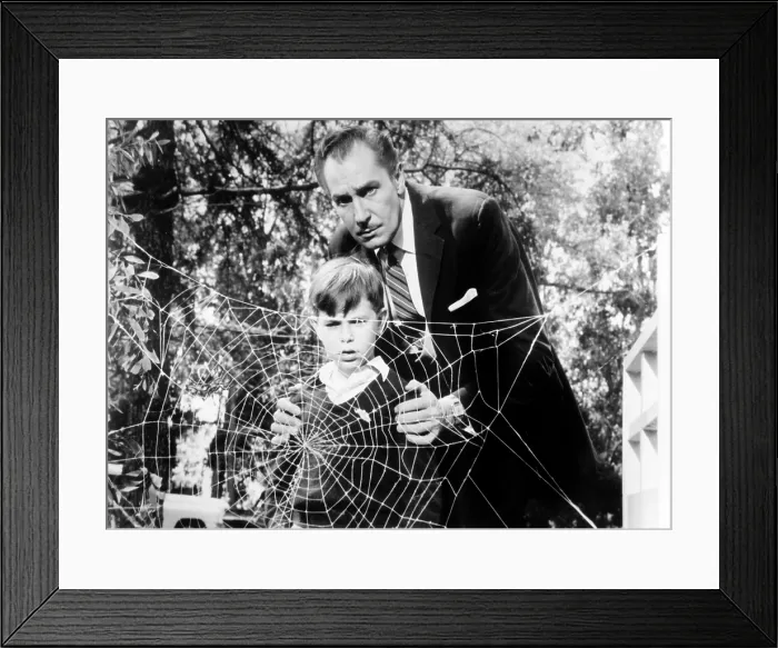 Framed Print : THE FLY, Charles Herbert, Vincent Price, 1958. TM and Copyright (c) 20th Century Fox Film Corp. All rights reserved. Courtesy: Everett Collection