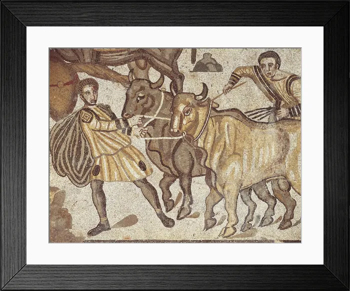 Framed Print : Oxen transporting water. ITALY. Piazza Armerina. Villa Romana del Casale. Roman art. Late Empire. Mosaic. AISA / Everett Collection (110045)**US SALES ONLY** Framed Print : Oxen transporting water. ITALY. Piazza Armerina. Villa Romana del Casale. Roman art. Late Empire. Mosaic. AISA / Everett Collection (110045)**US SALES ONLY**