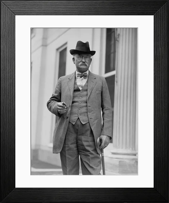 Framed Print : Albert B. Fall (1861-1944), Secretary of the Interior for the Warren Harding, accepted bribes for oil leases to the naval oil reserve lands in the Teapot Dome reserve in Wyoming Framed Print : Albert B. Fall (1861-1944), Secretary of the Interior for the Warren Harding, accepted bribes for oil leases to the naval oil reserve lands in the Teapot Dome reserve in Wyoming